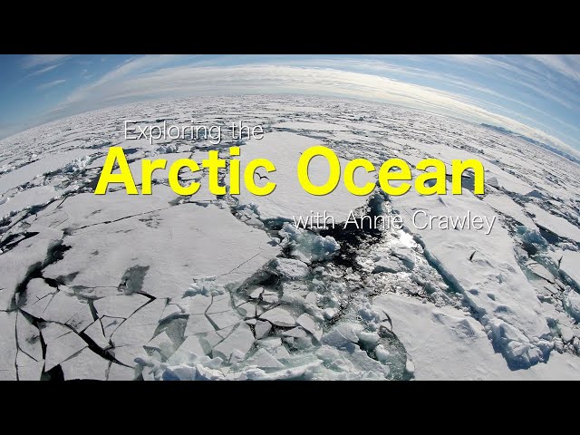 Explore the Arctic Ocean with Annie Crawley Planet Ocean Book