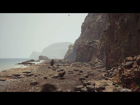 Nanite OVERLOAD on the shore - Unreal Engine 5 - RTX 3070
