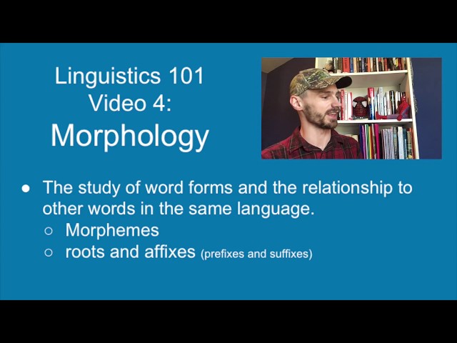 Morphology: Intro to Linguistics [video 4]