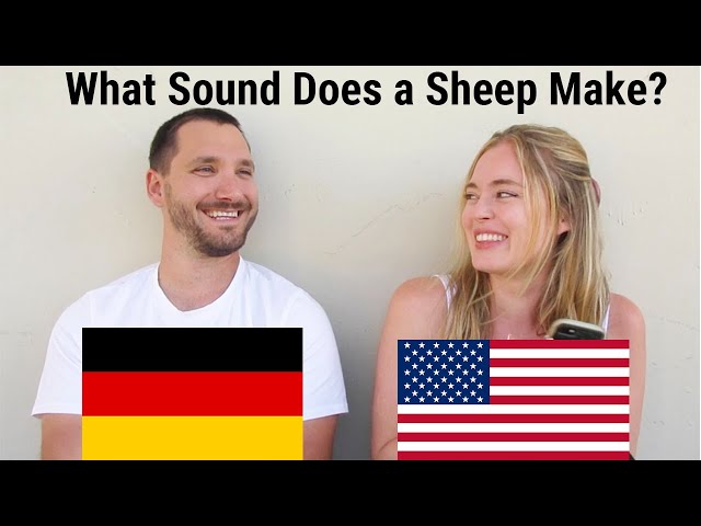 German VS English Animal Sounds (We Can't Stop Laughing)