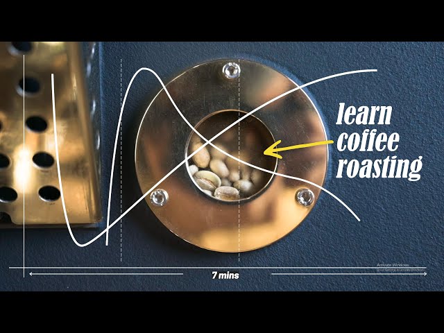 Coffee Roasting 101 - Understanding the roasting graph