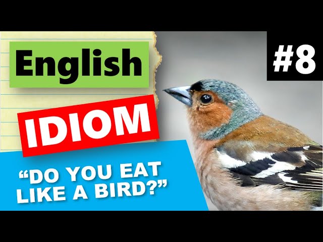 English Idiom #8 - Do You Eat Like a Bird?