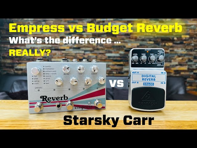 Hi End Reverbs - Are they worth it? // Empress Reverb vs Behringer DR600