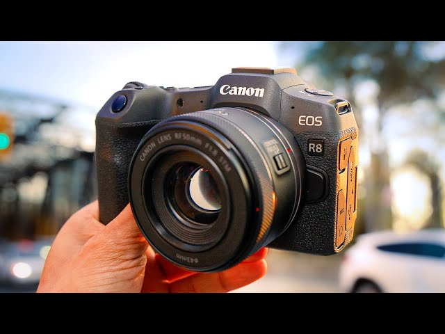 Canon R8 (6 Months Later) | Watch Before You Buy