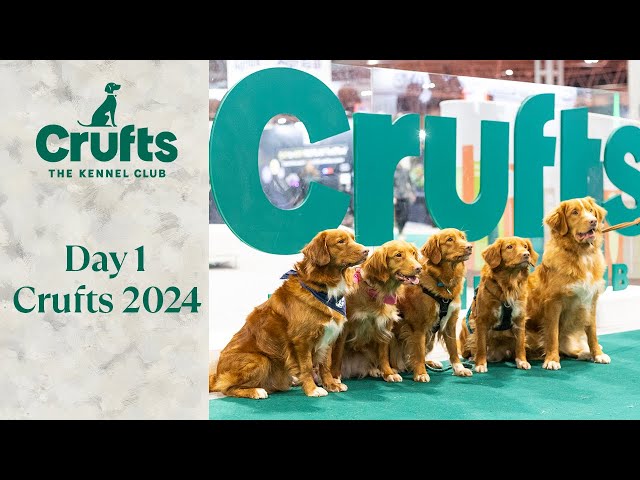 Day 1 of Crufts 2024