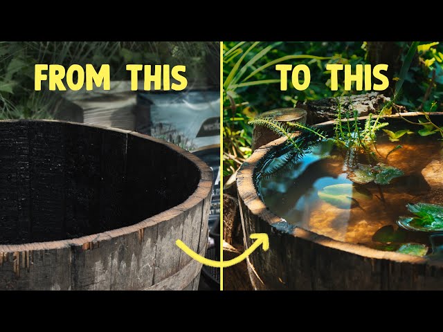How to create a barrel pond for wildlife | WWT