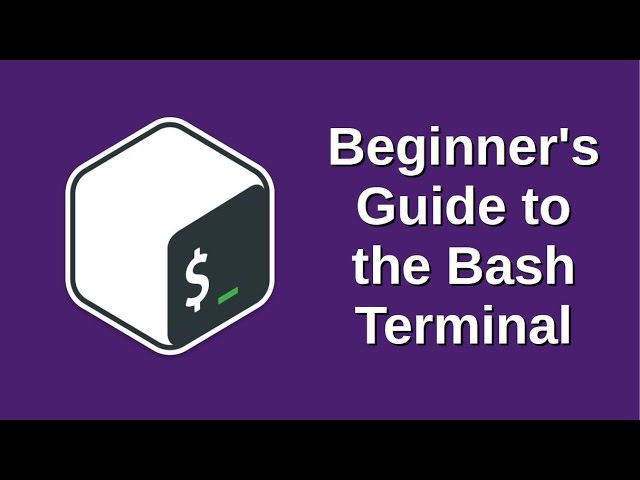 Beginner's Guide to the Bash Terminal
