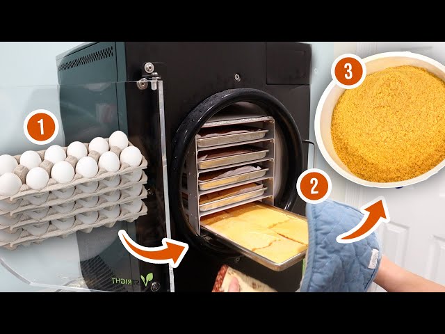 Freeze Drying Eggs for DECADES Of Shelf Stable Food: Easy Steps & Taste Results