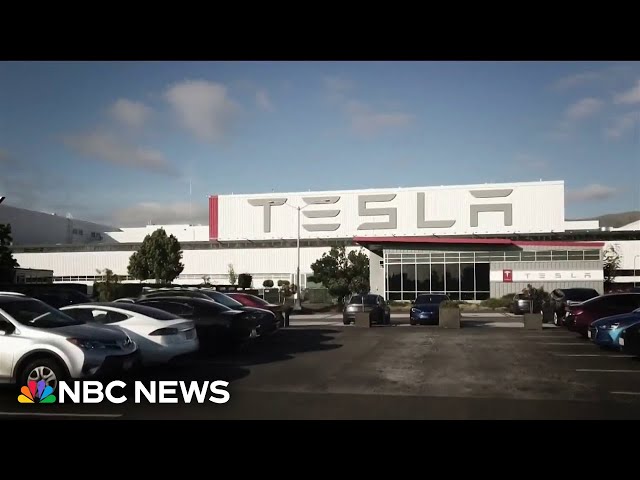 Tesla sees biggest drop in revenue in over a decade