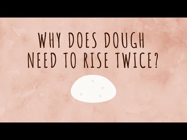 Why Does Bread Dough Need To Rise Twice?