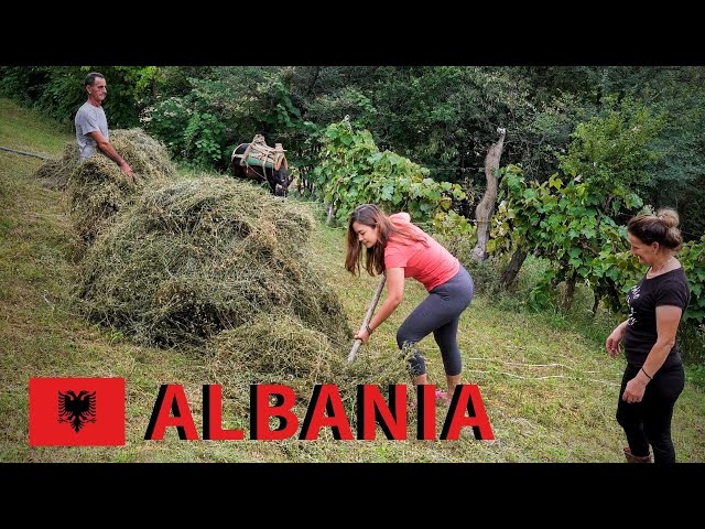 Village life in rural ALBANIA - traditional country life vlog in the Balkans 🇦🇱 [Ep. 2]