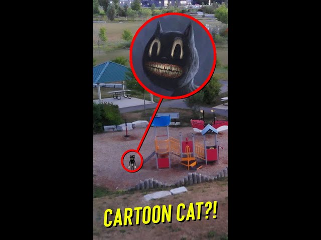 we ran into REAL cartoon cat while flying our drone... and HE FOUND OUT!!