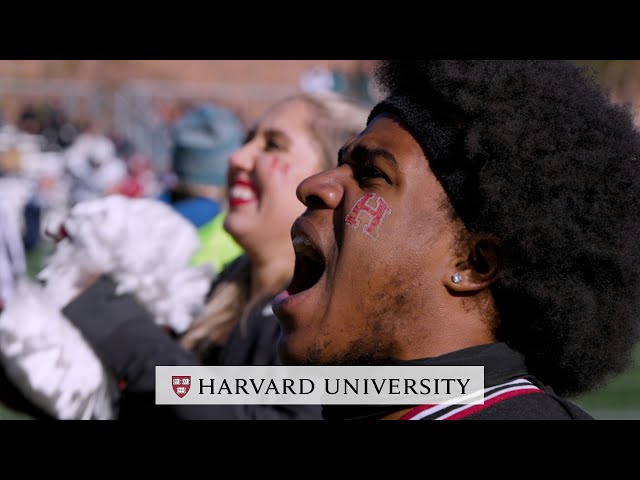 Harvard Yale 2022