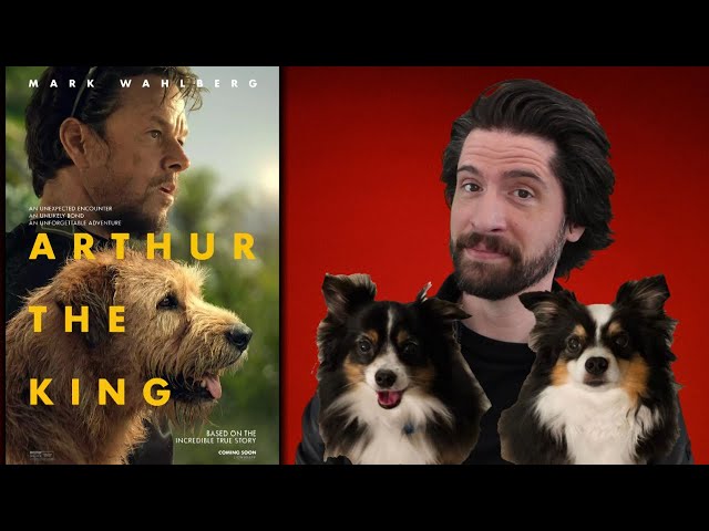 Arthur the King - Movie Review