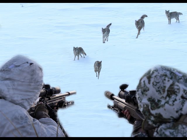 We Killed Them All.  Predator Hunting: SUPPRESSED V