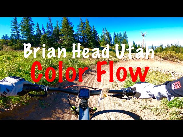 Brian Head Bike Park - Color Flow Blue Trail - Trek Fuel EX - GoPro Hero 8 Black