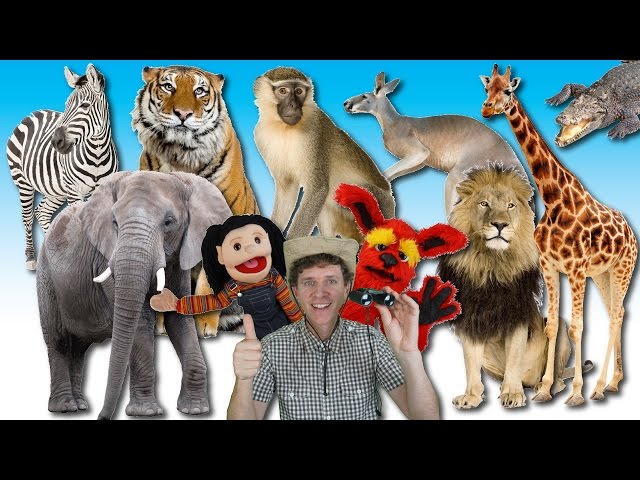 What Do You See? Song | Wild Animals | Learn English Kids