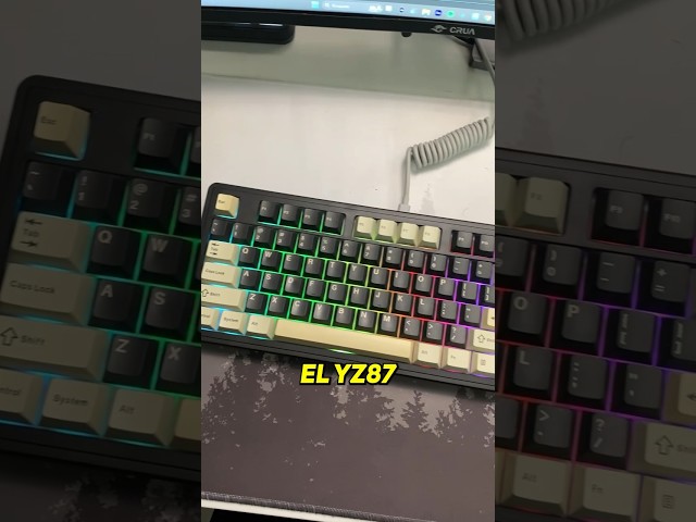 El YZ87 es la definición de teclado versátil, ya sea por su formato TKL o sus 3 modos de conexión.