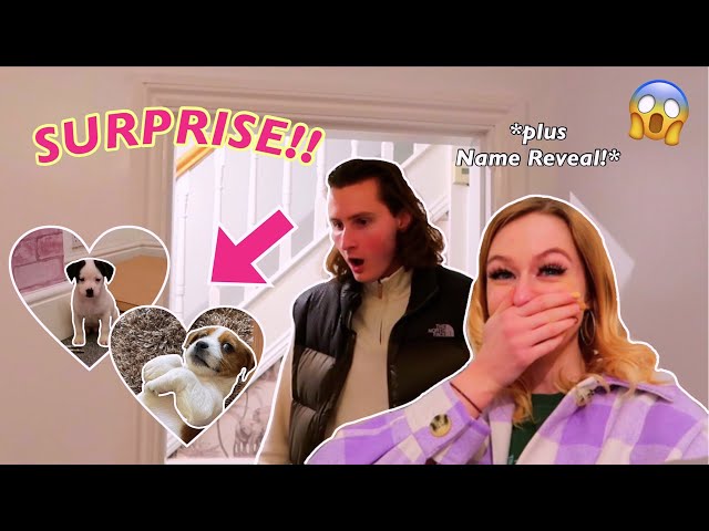 SURPRISING MY BOYFRIEND WITH *TWIN* PUPPIES!!🤣🐶 (PLUS THE NAME REVEALS!!😱) | Rhia Official♡