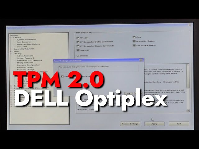 I enabled TPM 2.0 on a dell optiplex 3040 Micro pc before installing Windows 11