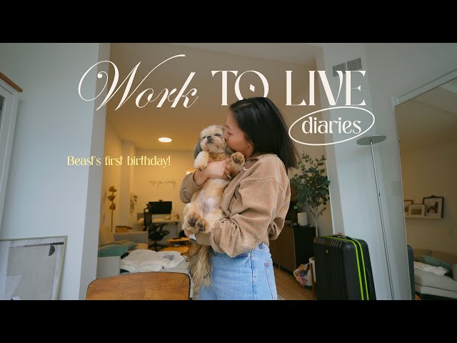 Work to Live Diaries: Normal 9-5 days in my life & my puppy's first birthday