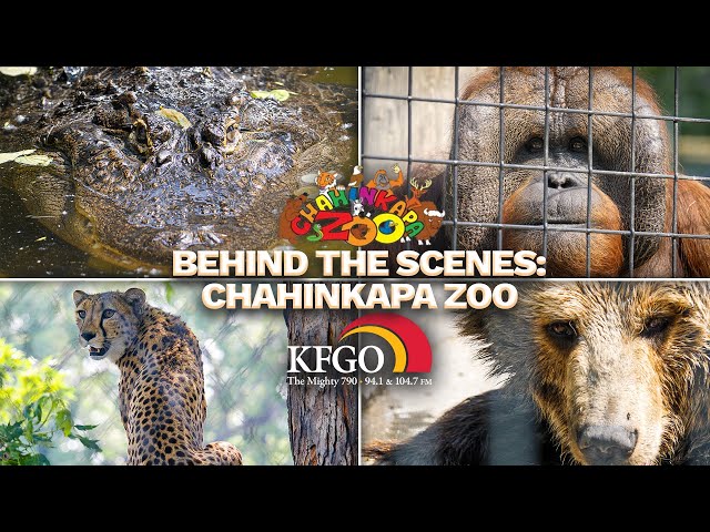 BEHIND THE SCENES: Chahinkapa Zoo - Wahpeton, North Dakota | KFGO