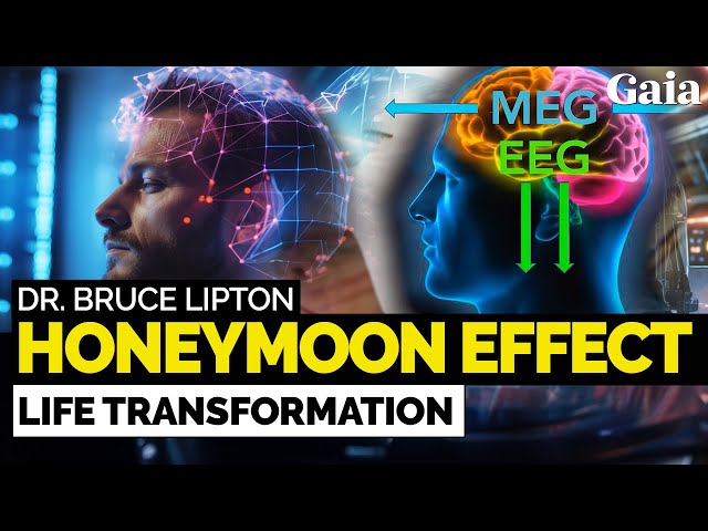 A Blueprint to the Honeymoon Effect | Dr. Bruce Lipton