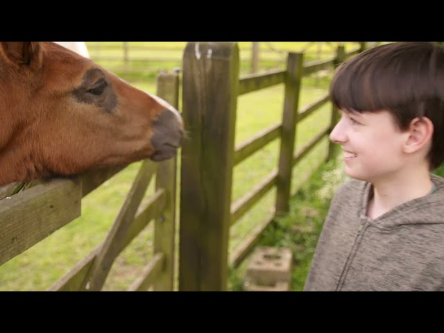 Staying on a farm with puppies and horses in Staffordshire