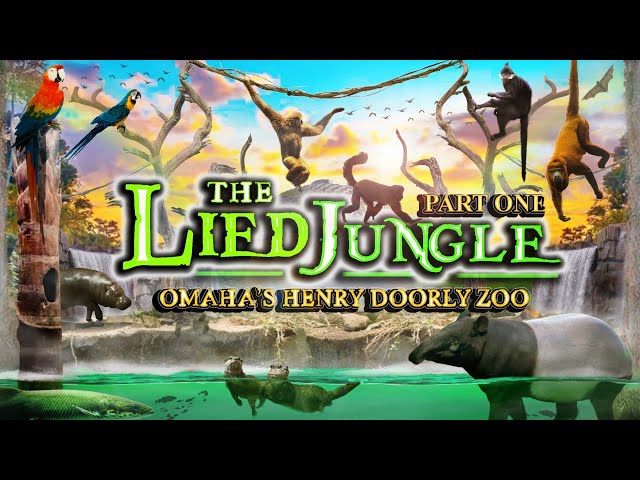Zoo Tours: The Lied Jungle | Omaha's Henry Doorly Zoo (PART ONE)