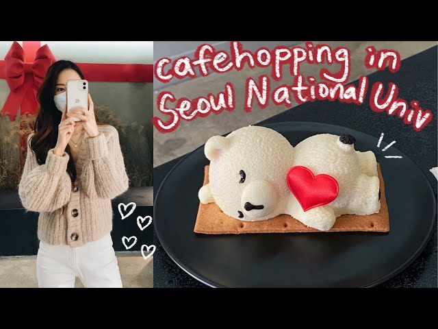 cafe hopping in seoul national university 🐻 bear cake, tea with korean desserts, brunch cafe