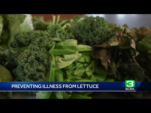 Consumer Reports: Here are precautions you can take for safer salads