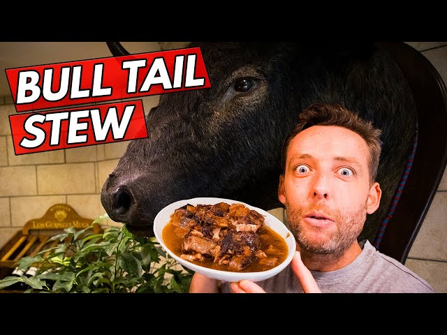 Taking on Traditional Spanish Bull Tail Stew