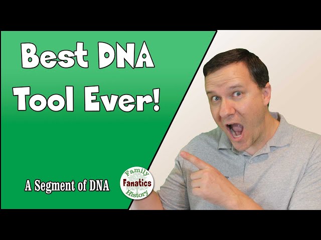 DNA Painter What Are the Odds on- The Best DNA Genealogy Tool Ever!?!