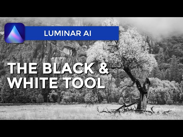 The Black & White Tool - Luminar AI