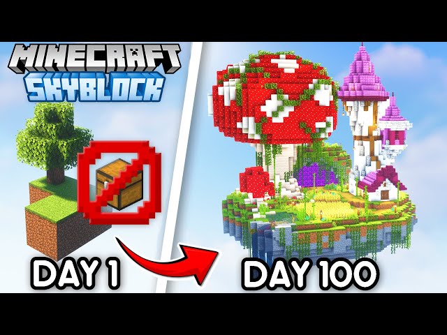 I Spent 100 Days in Skyblock Without The Start Chest in Minecraft