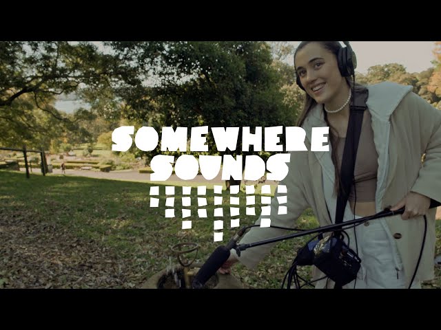 Chelsea Warner - Somewhere Sounds | Art Gallery NSW & Sydney Conservatorium of Music