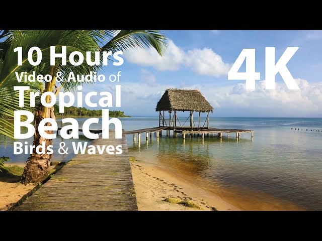 4K UHD 10 hours - Tropical Beach with Gentle Waves and Birds - calming, meditation, nature