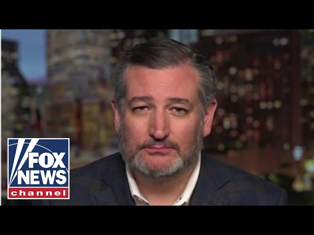 Ted Cruz: Biden views migrants flown to Texas as future Dem votes