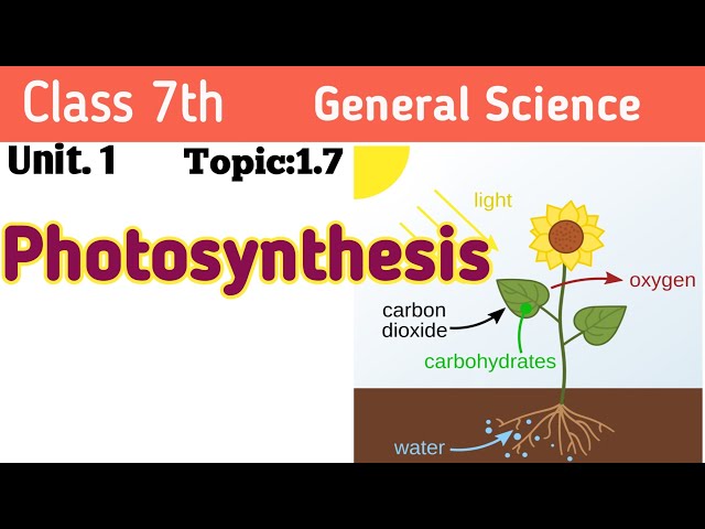 Photosynthesis || Chapter 1 || Class 7th  General science ||