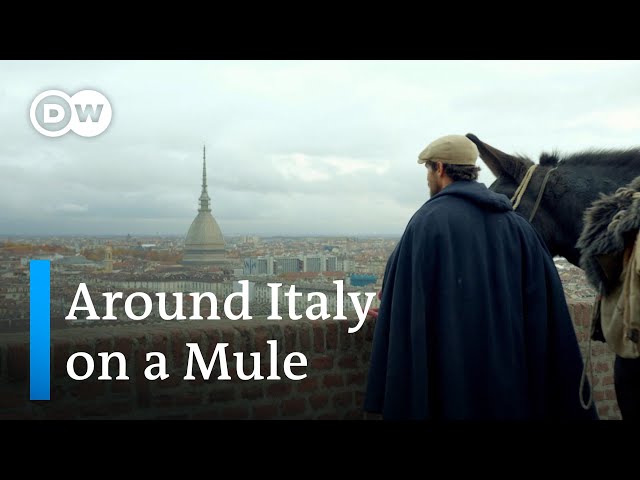 Traveling Through Italy by Mule and Donkey | Rural Italy, from Palermo to Turin