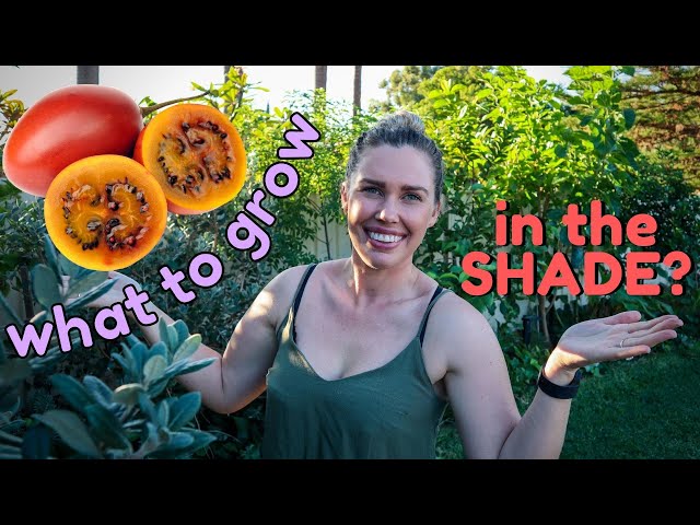 21 Edible Plants to GROW IN THE SHADE 🌿 Let's grow more food at Home 🌿 Growing Food in Shade