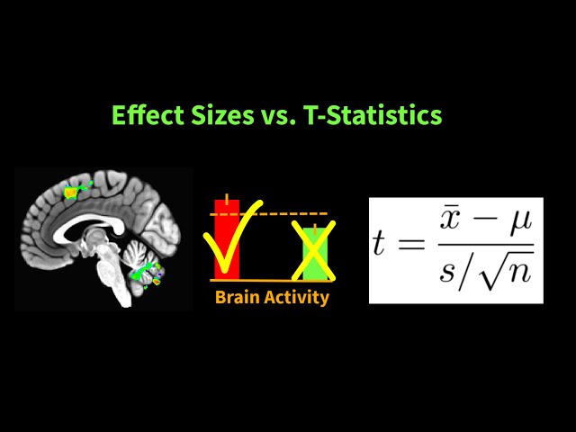 Reporting Effect Sizes vs. T-Statistics in Neuroimaging