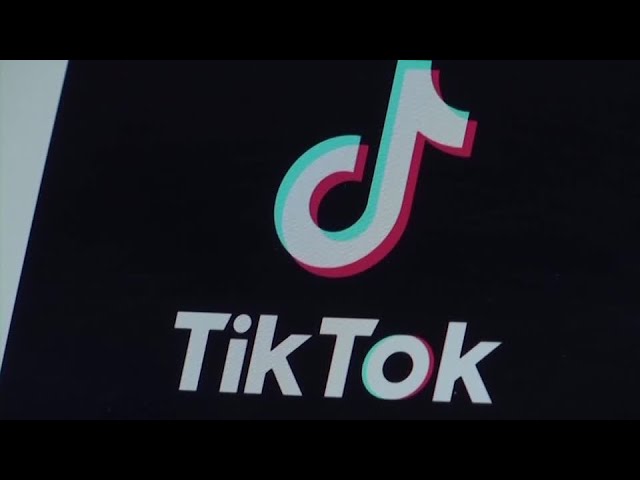 ByteDance 'will shut TikTok rather than sell it' | REUTERS