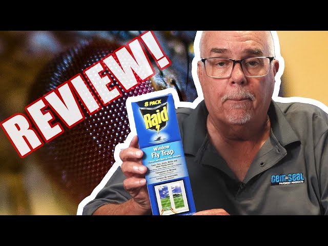 Raid Window Fly Trap Review
