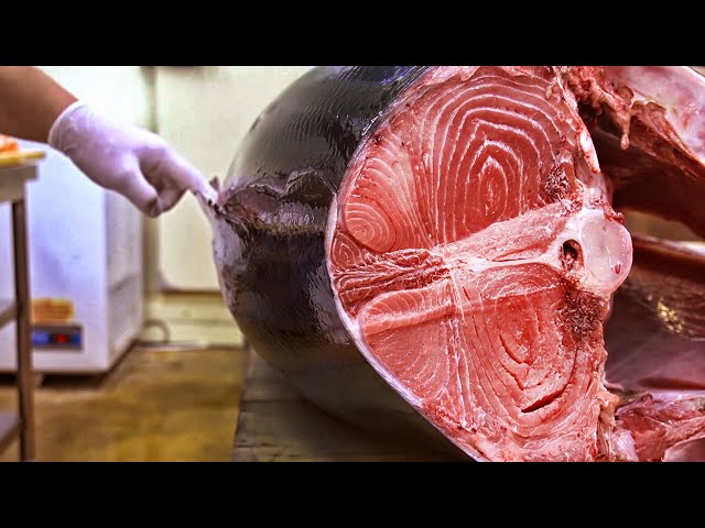 [Full Ver] How to dismantle a large tuna / Make a master's sashimi / Try tuna right away / 참치해체&회뜨기