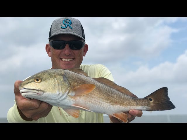 Redfish on the Half Shell {Catch Clean Cook} Baffin Bay texas
