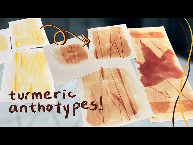 DIY sun-sensitive prints with turmeric! (turmeric anthotypes)
