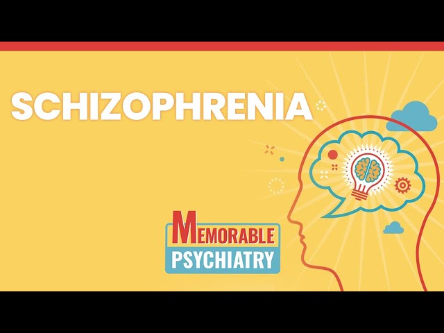 Psychosis & Schizophrenia Mnemonics (Memorable Psychiatry Lecture)
