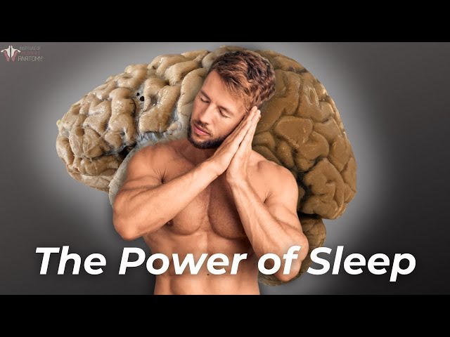 How Sleep Powers Muscle Growth