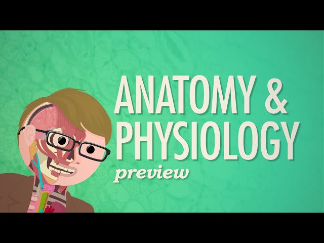 Crash Course Anatomy & Physiology Preview